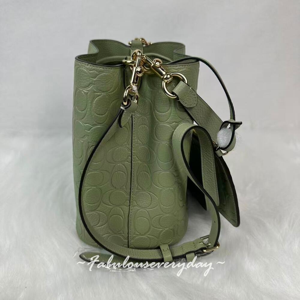 Coach Rowan Bucket Bag Crossbody In Signature Leather CEA96 Pistachio + Pouch - Picture 4 of 7